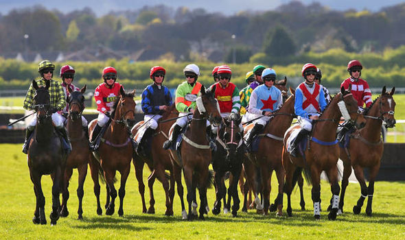 Image result for wetherby races